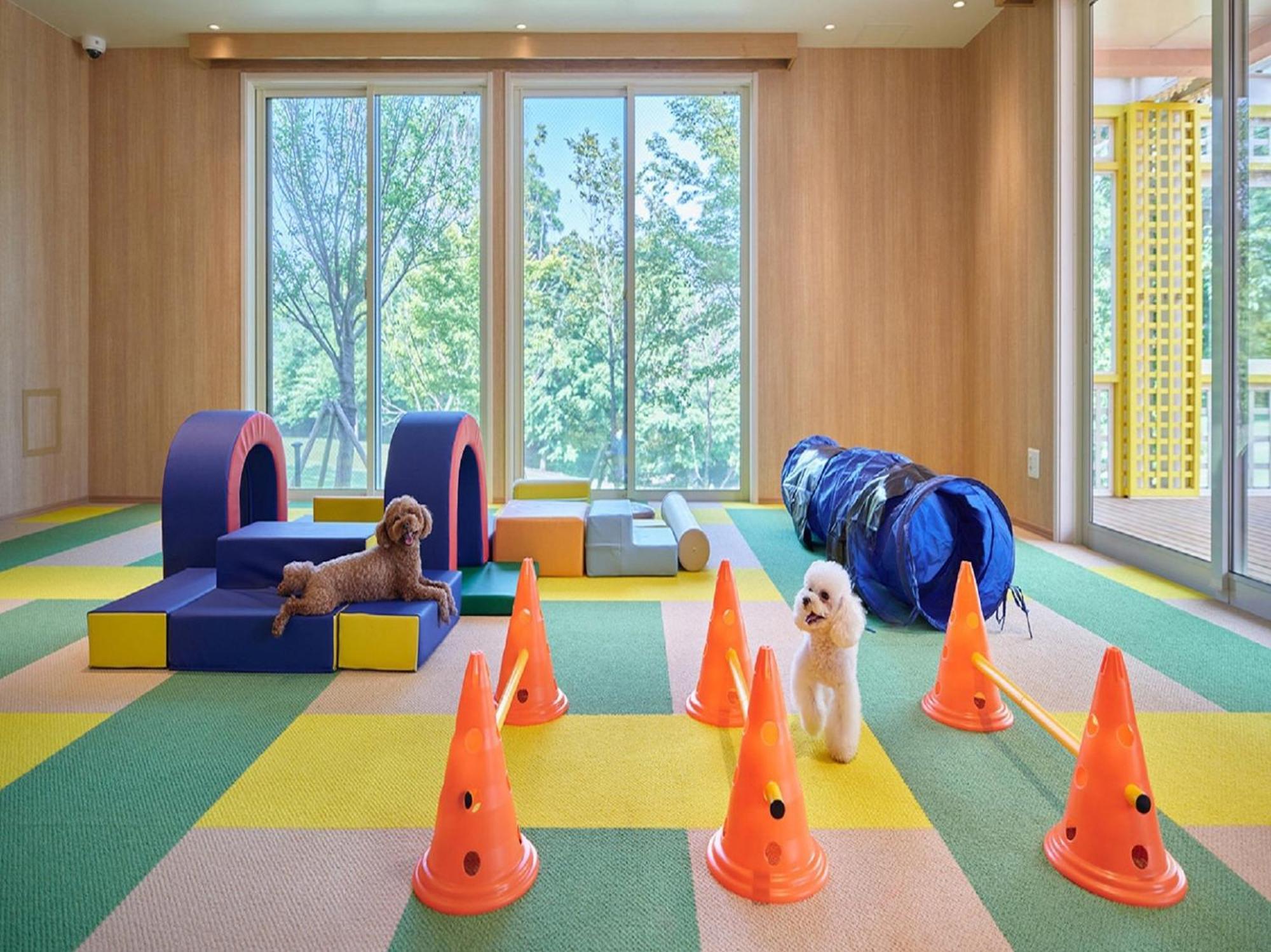 Koyaru-No-Sato Doggys Island Hotel Yachimata Bagian luar foto
