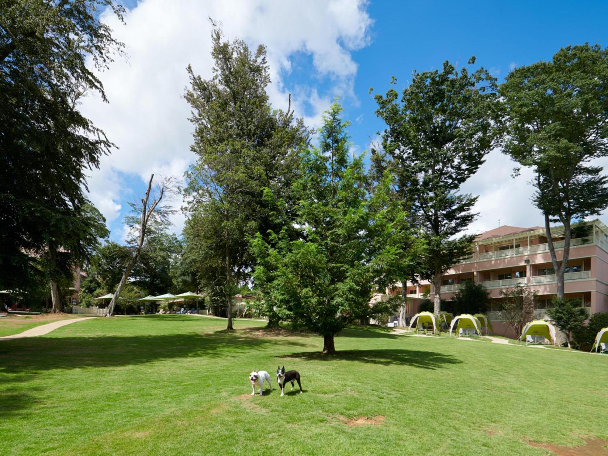 Koyaru-No-Sato Doggys Island Hotel Yachimata Bagian luar foto